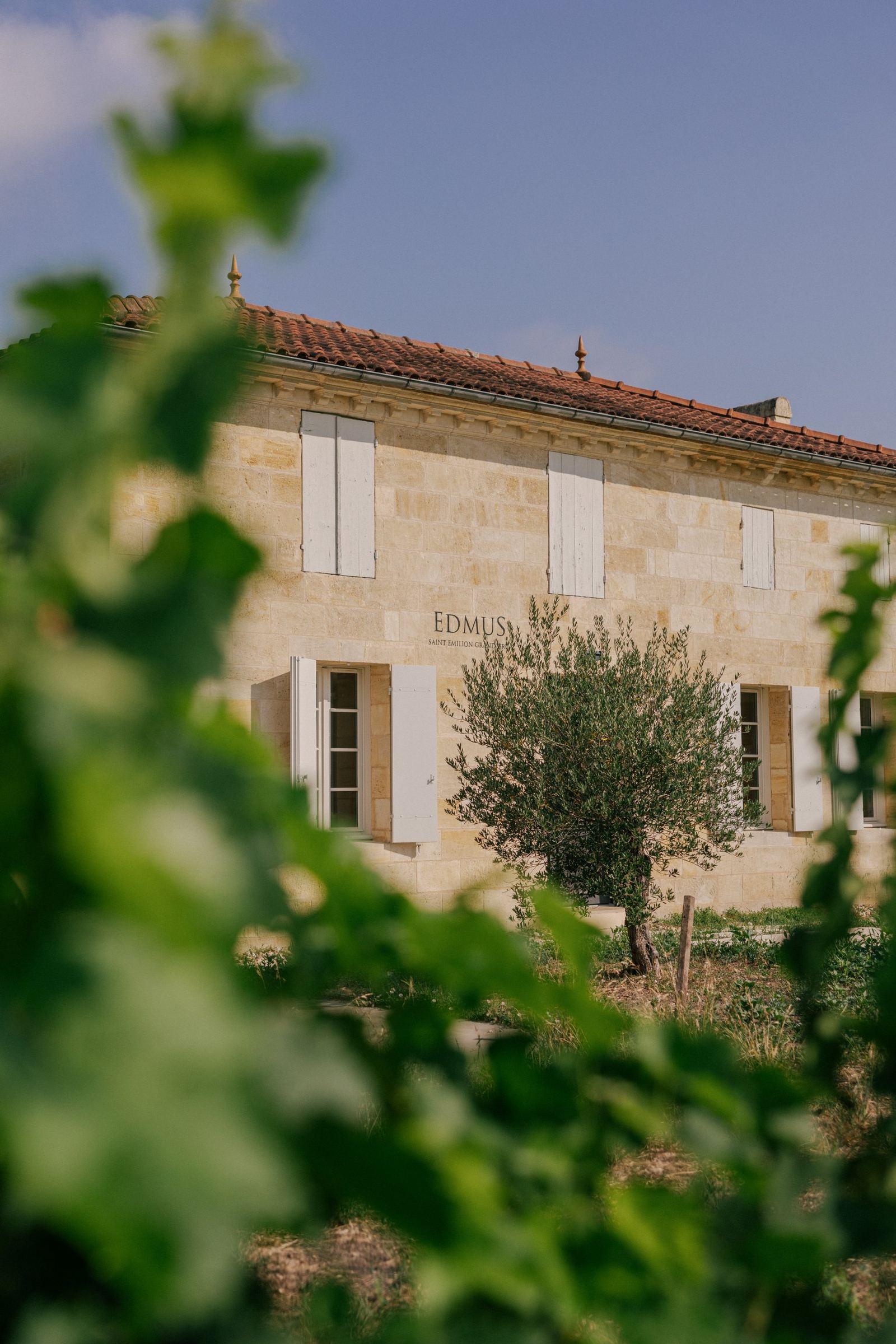 Le Château EDMUS, Saint-Émilion, vu depuis les vignes